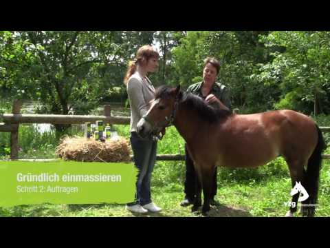 Wie man vom Ekzem behandelt werden kann Wie das trockene Ekzem auf den Händen für immer zu heilen