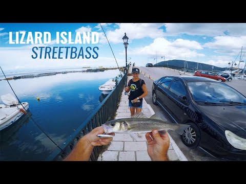 Lizard Island 08 - Streetbass