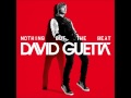 David Guetta ft DEV & Timbaland - I Just wanna F*ck