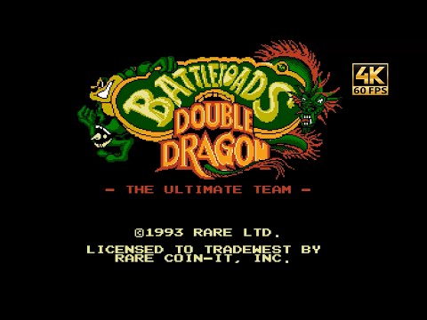 Battletoads/Double Dragon (1993) | NES