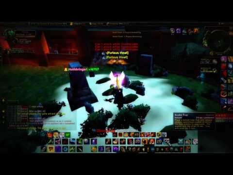 Ice WoW - Arena 2 vs 2 (Survival Hunter and Retri Paladin) #2