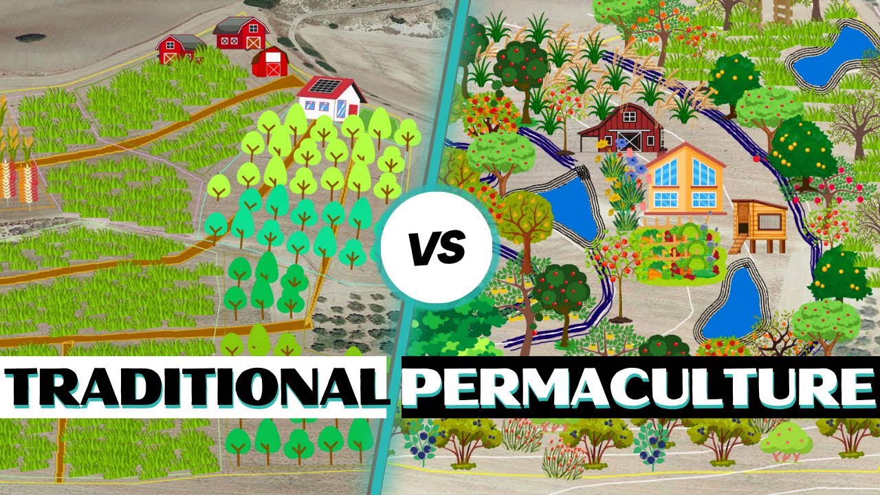 Traditional Farm Design vs. Permaculture Design: What's the Difference?