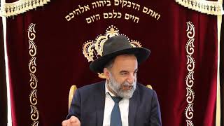 הרב יהודה נקי שליט"א בעל סדרת הספרים מעיין אומר ועוזרו של מרן זצ"ל הלכות בין המצרים תשפ"א