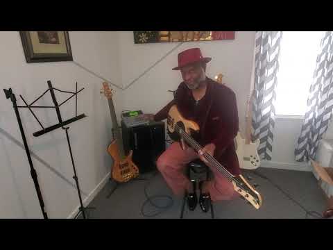 "Fodera Ying Yang"why choose?