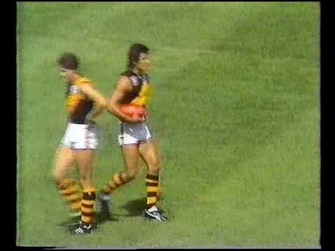 VFL R2 1982 - Fitzroy v Richmond
