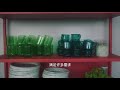 Clip 1