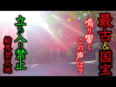 Japan Kultur Zen Buddismus