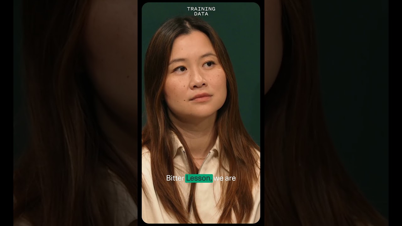 AI大模型的苦涩教训:打破容量瓶颈,极致扩展数据