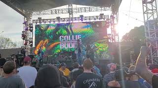 Collie Buddz encore &quot;Blind to you (haters)&quot; (live with crowd performer) at CaliRoots 2022