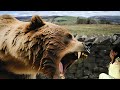 Moara Lui Călifar De Gala Galaction Booktrailer Creat Pt CDIdei în Cărți 2024