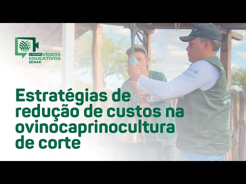 Ovinocaprinocultura de Corte: estratégias de redução de custos - Celso Cardoso Loiola (BA)