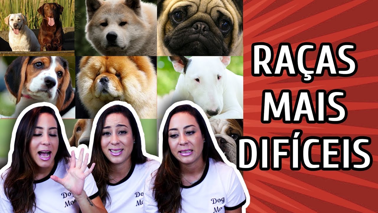 AS RAÇAS MAIS COMPLICADAS DE CUIDAR