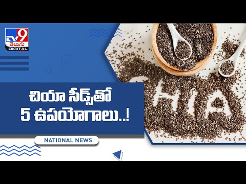 5 Health Benefits Of Chia Seeds - TV9