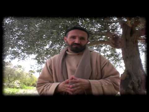 How was the VV Statute born