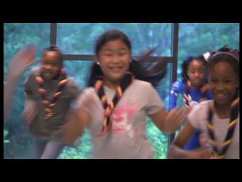 Scout Association's work in disadvantaged areas - BBC News  21 June 2019