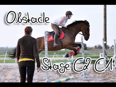 Stage Club 2 - 1 Toussaint 2014 Obstacle