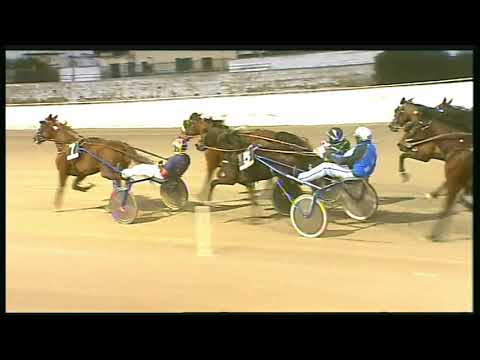 Trotto 09/02/2020 - 7ª corsa