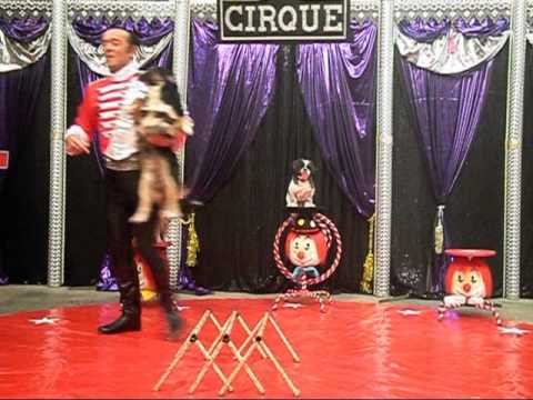 christopher et ses chiens savants