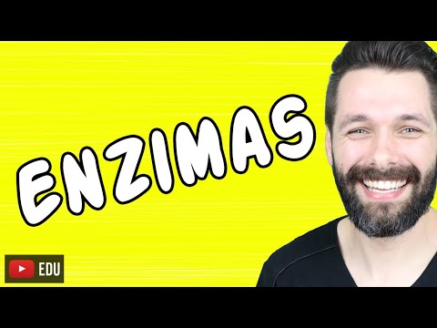 ENZIMAS - BIOQUÍMICA | Biologia com Samuel Cunha