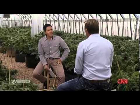 CNN documentary on Charlotte’s Web, medical marijuana treating seizure disorders