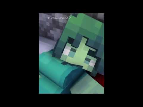 Birth of the Evoker - minecraft animation