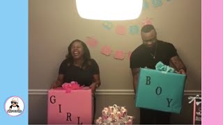 pt 2 baby gender reveal   pregnancy baby reveal id