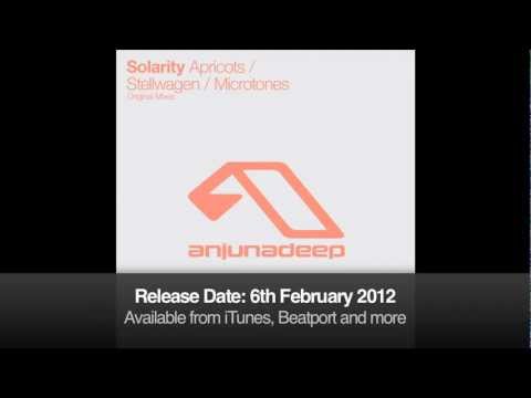 Solarity - Microtones