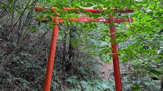 【心霊調査】神奈川県三浦半島・雨崎海岸～大蛇伝説の地