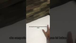 Download lagu Aquarium Channa Barca Hilang 😱😭 #channa #ikanchanna #snakehead #ikan #channabarca mp3 Download lagu Aquarium Channa Barca Hilang 😱😭 #channa #ikanchanna #snakehead #ikan #channabarca mp3