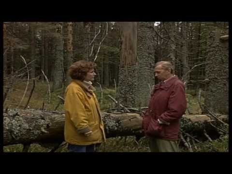 Horst Stern: Bemerkungen über einen sterbenden Wald, Teil 2