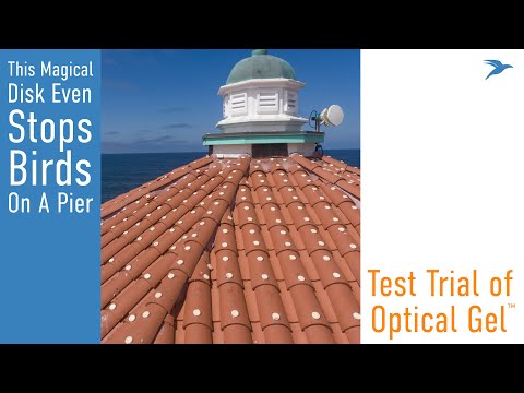 Optical Gel Manhattan Beach Pier Roof Video
