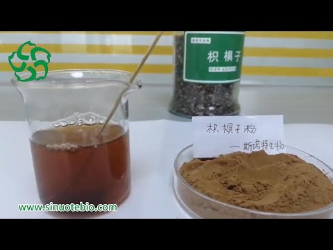 Raisin Extract Powder, Packaging Size: 1kg to 25kg