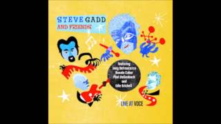 Steve Gadd &amp; Edie Brickell &quot;Here I Am Now&quot; Live At Voce (2010) Lyrics HQ