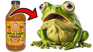 Stop Frogs from Invading Your Home & Yard with These Simple Tricks