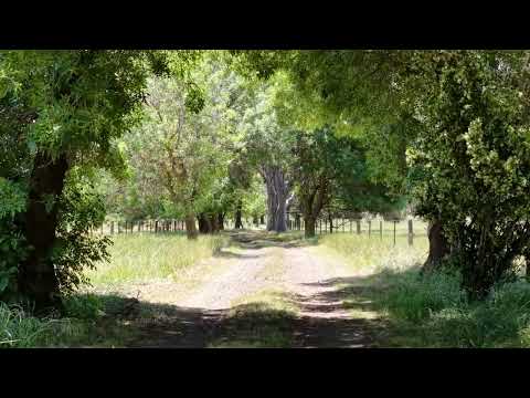 63 Swanpool-Lima Road, Swanpool, VIC 3673, 3 ਕਮਰੇ, 2 ਬਾਥਰੂਮ, Lifestyle Property