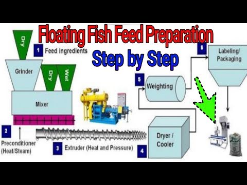 Floating fish feed preparation method