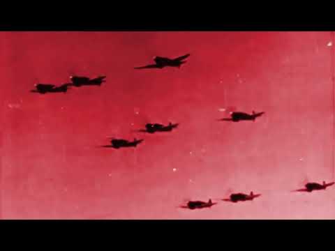 Montre AVI-8 Laguna's Spitfire Legacy 303 Squadron | AV-4105