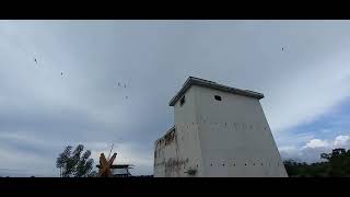 Download lagu SP NAGA MAS mp3 Download lagu SP NAGA MAS mp3