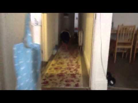 Fastest boy on all fours !!!!!!!