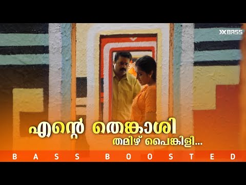 Ente Thenkasi | BASS BOOSTED AUDIO | Thenkasipattanam | Suresh Gopi | Suresh Peters | M G Sreekumar
