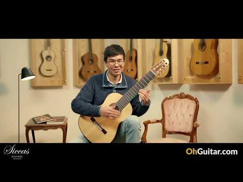 Roberto Pozzi 2015 8 Strings Classical Guitar Review