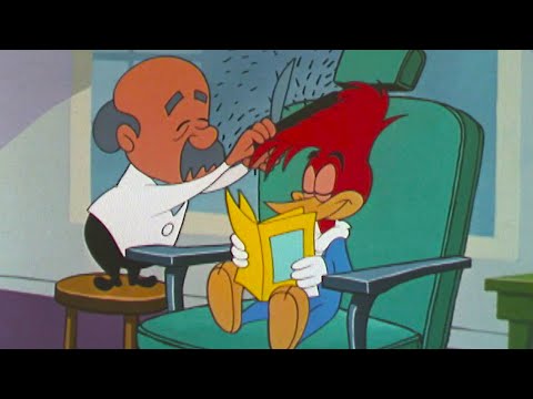 Woody Gets a Fresh Trim!  | Woody Woodpecker