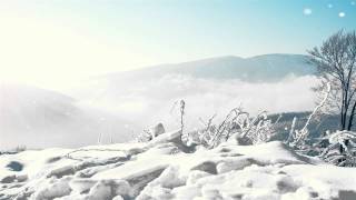 Winter Wonderland   Lionel Richie