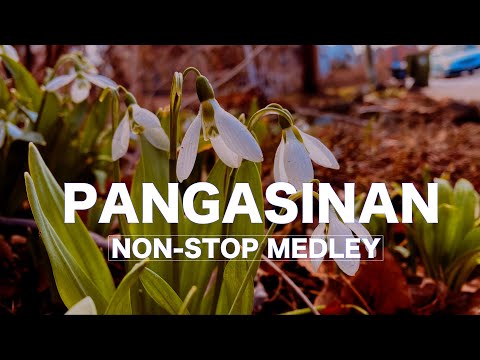 Pangasinan Non-Stop Medley