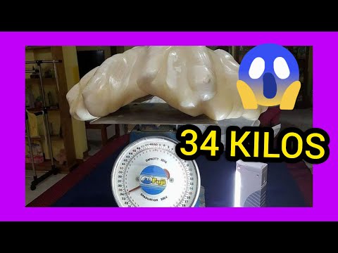 LA PERLA MÁS GRANDE DEL MUNDO