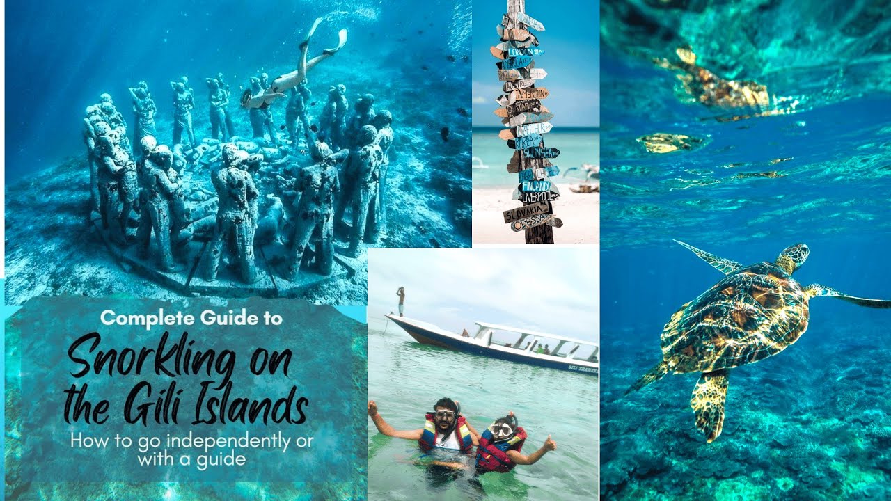 Immerse yourself in a visit to Gili Meno's enchanting Sea Turtle Sanctuary!