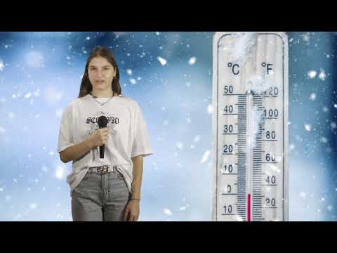 De unde vine gerul în România - Claudia Vladut