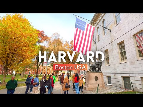 HARVARD UNIVERSITY Campus Tour 2024 4K| Walking Tour Harvard University, Boston, Massachusetts USA