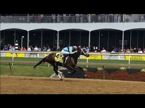 Super Quick demolishes the 2022 Allaire Dupont Distaff Stakes