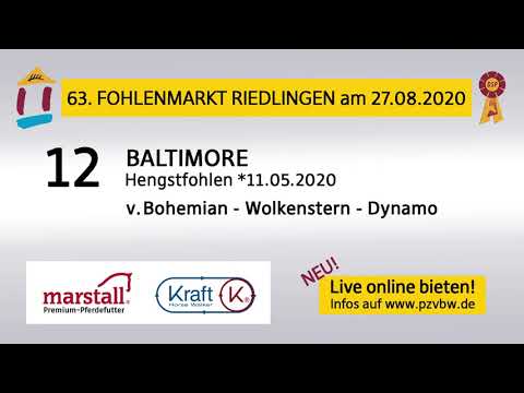 12 BALTIMORE - HF v. Bohemian - Wolkenstern - Fohlenauktion Riedlingen 2020